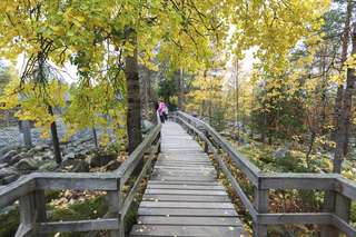 Autumn in Ranua zoo Autumn in Ranua zoo