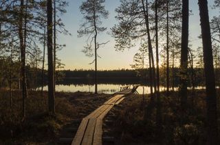 Amazing nature Amazing nature