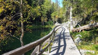 Nature trail Nature trail