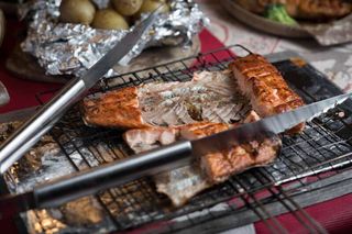 Salmon from the campfire Salmon fish