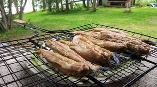 Grilled fish Grilled grayling fish