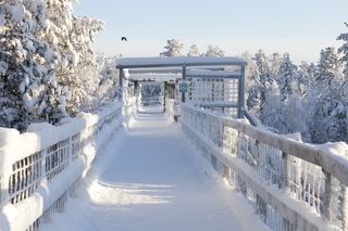 Ranua zoo in winter 2017 Ranua zoo in winter 2017