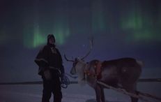 Northern Lights hunting by Reindeers Northern Lights hunting by Reindeers