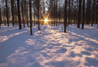 Enjoy the beauty of Lappish nature Enjoy the beauty of Lappish nature
