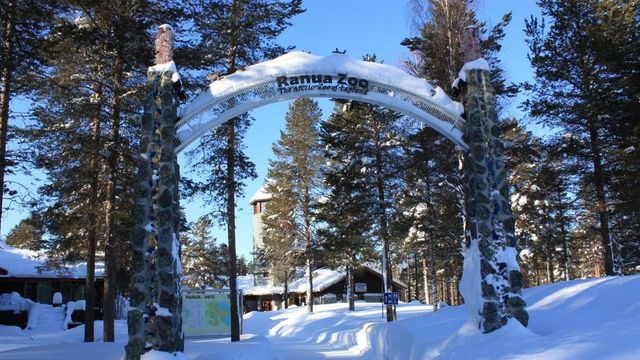 Ranua Wildlife Park Trip 🚐 from Rovaniemi