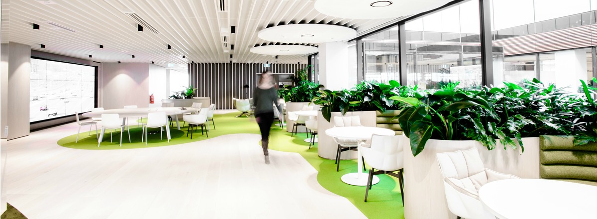 Biophilic office design with large plants