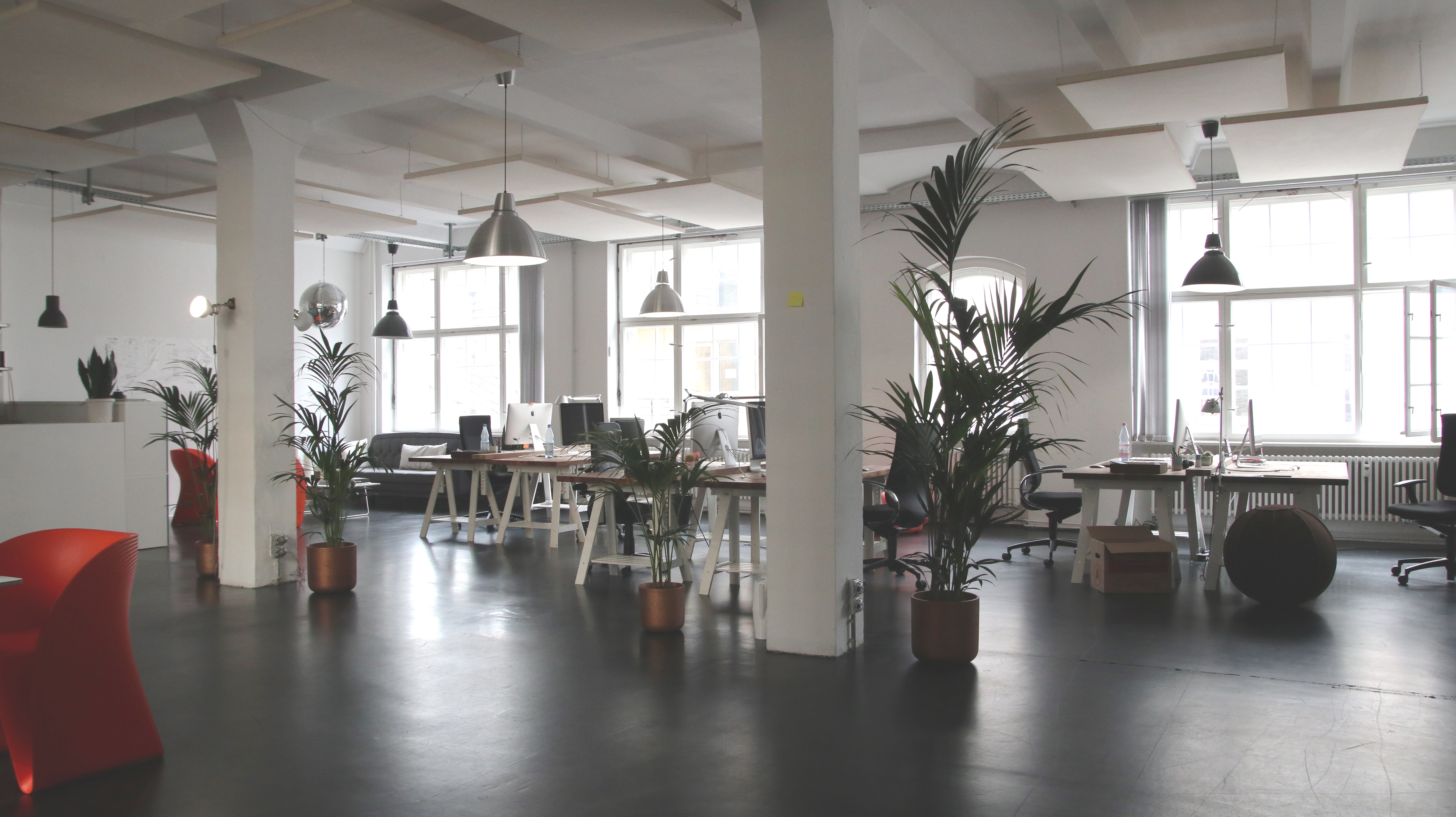 Biophilic office design using large pot plants