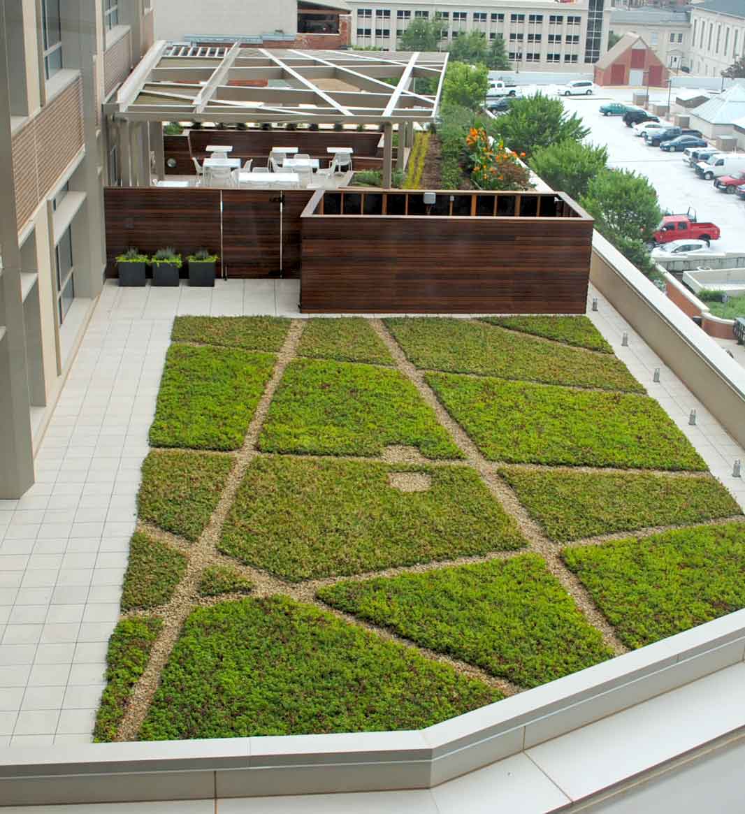 green roof design installation living roofs inc