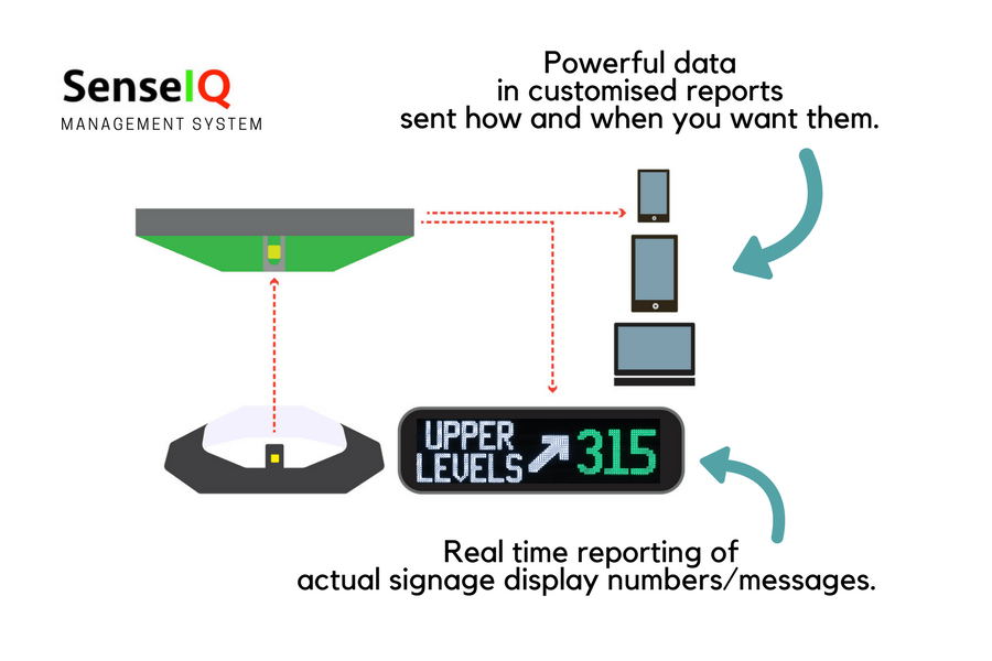 real data infographic