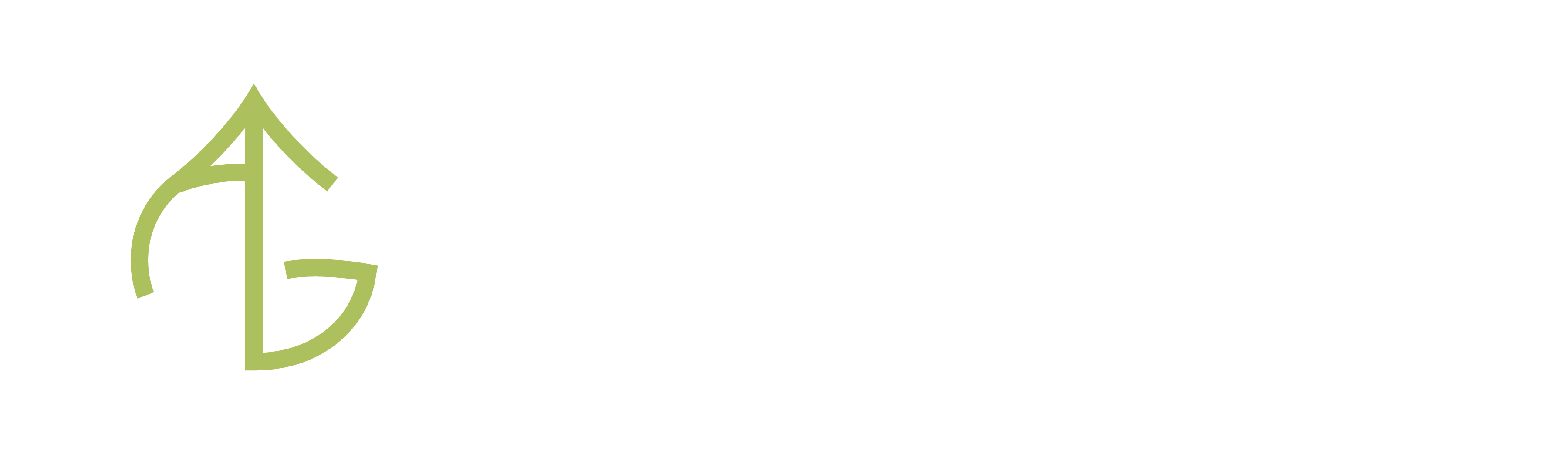 Aspen Group Consulting