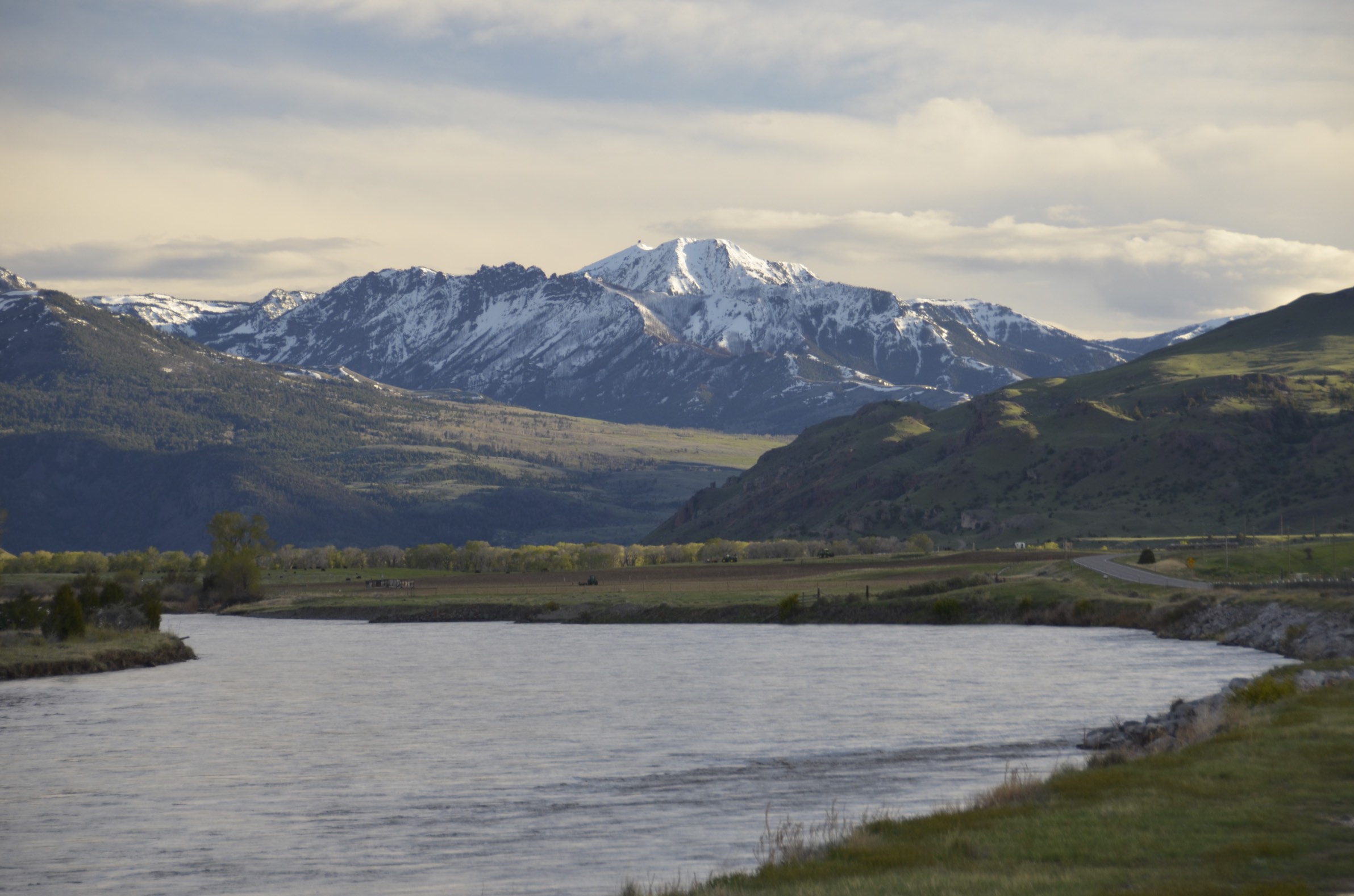 Yellowstone River Fly Fishing Guides, Trips, and Outfitting Montana
