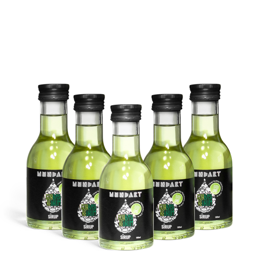 Gurke Basilikum Sirup (5x 100ml)