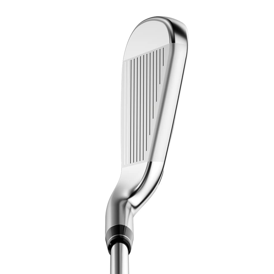 big bertha b21 iron