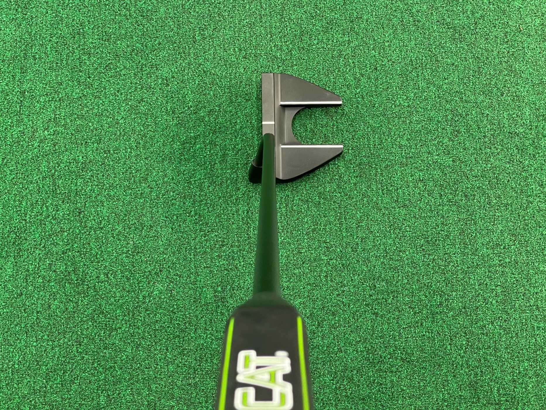 Custom AXIS1 Rose Putter