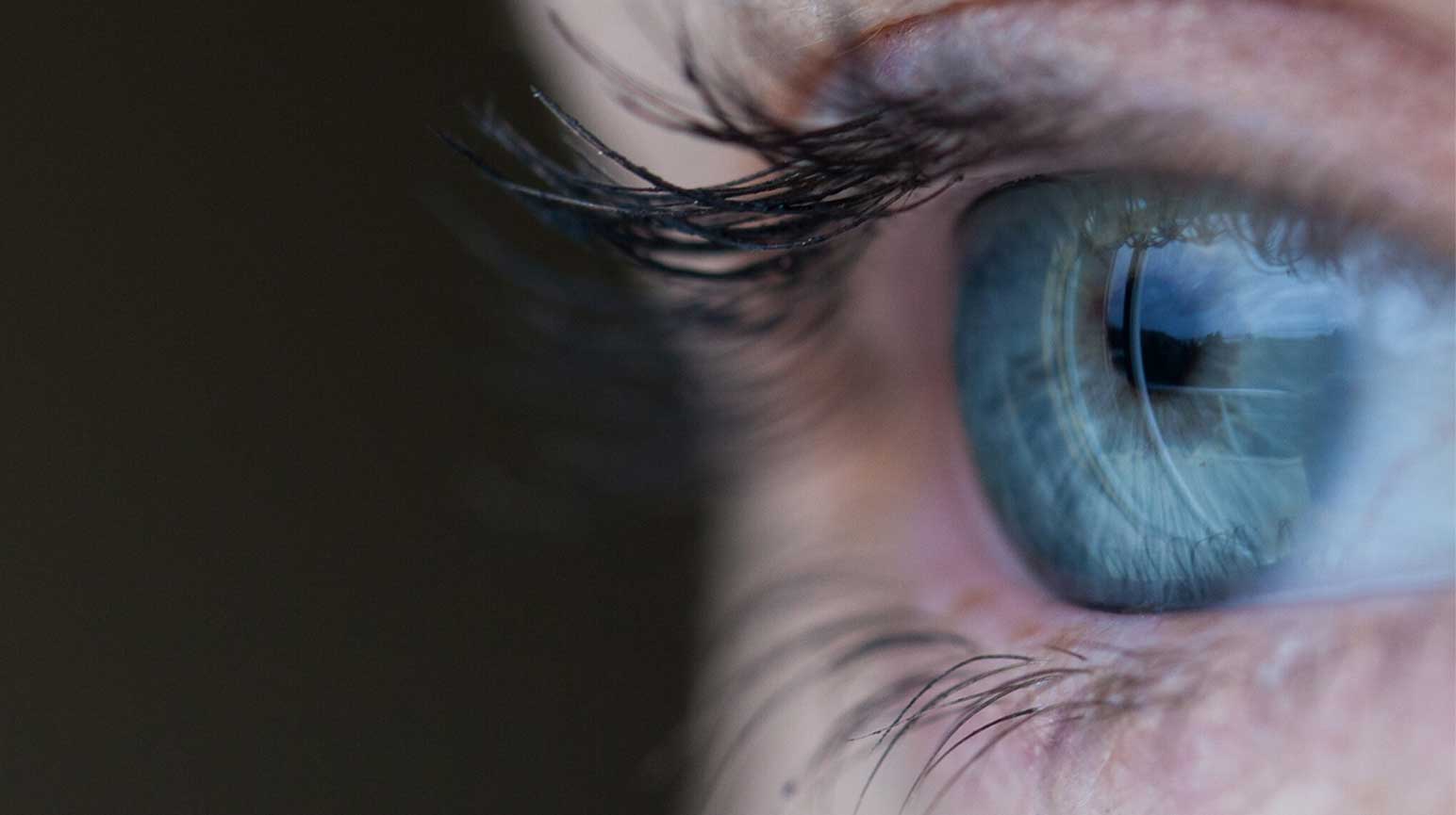 How We Lose Vision