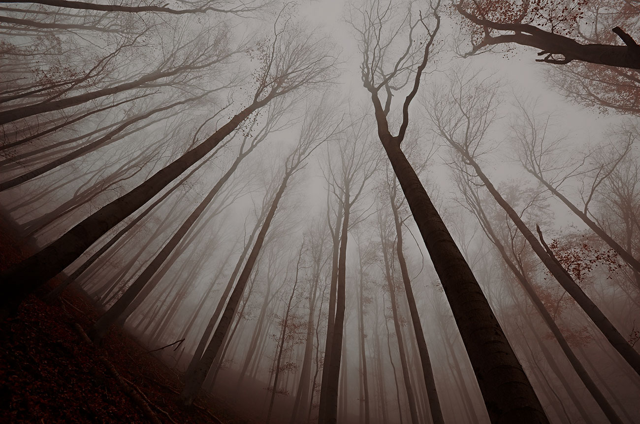 What is a personality disorder?