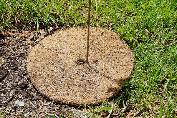 Mulch pad on ground