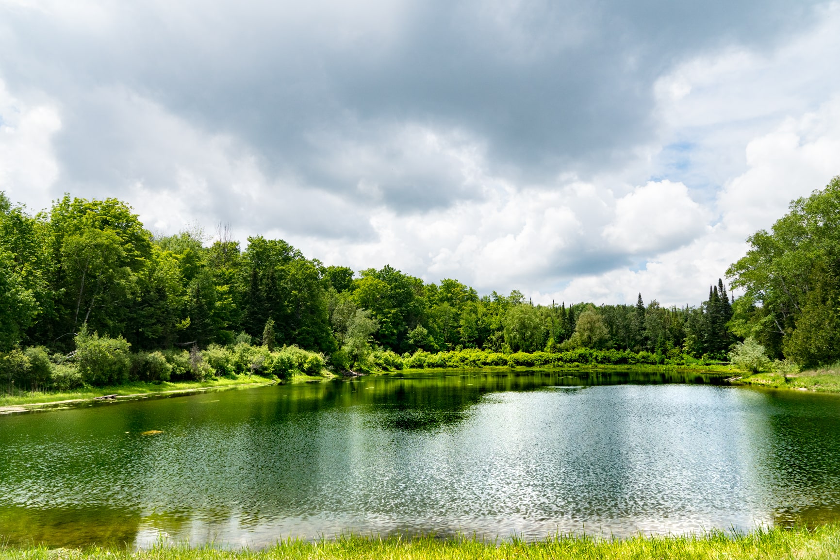 Pond at Monora Park