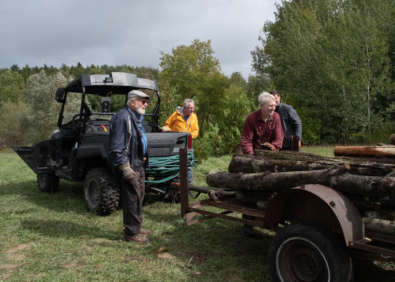 Volunteers with dead ash trees