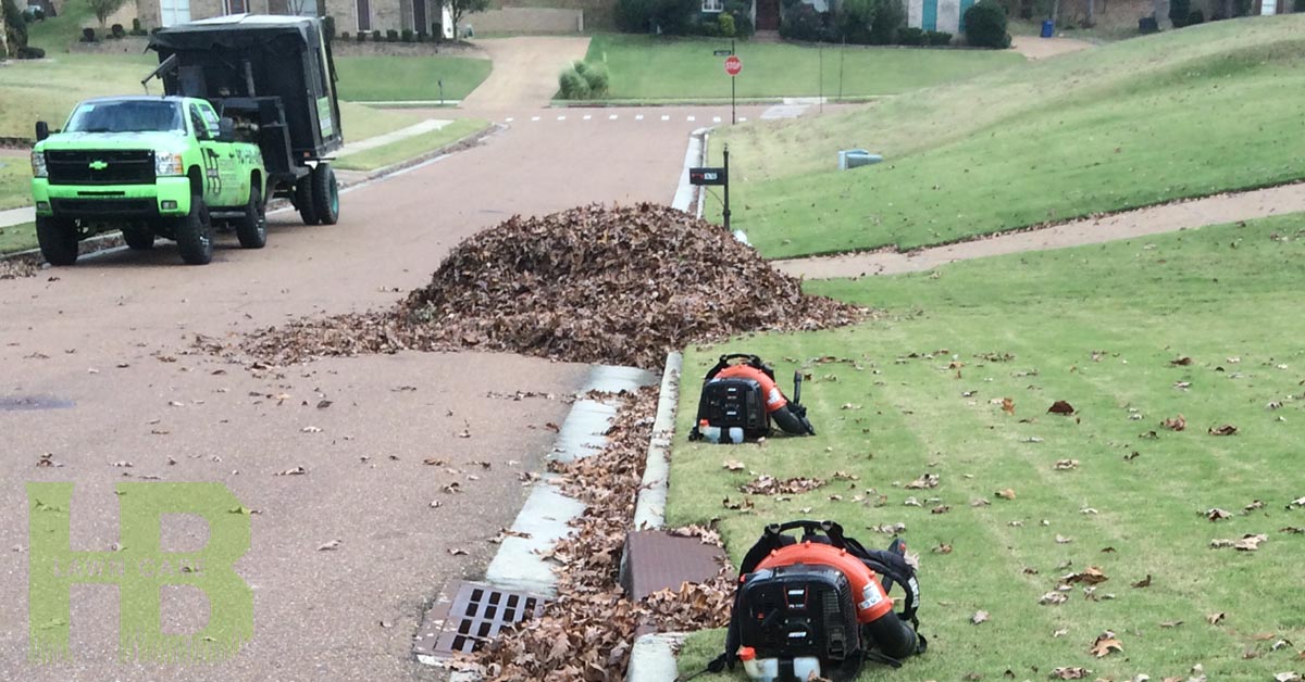 Spring Fall Clean Up Herndon Brothers