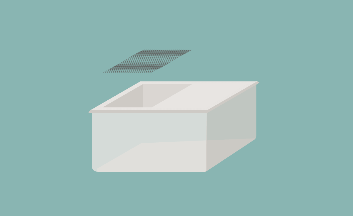 Main Cricket breeding container