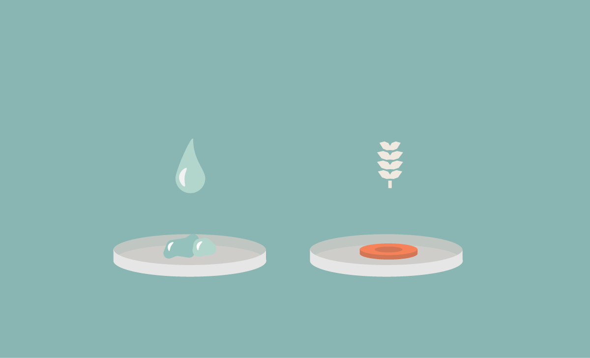 Feed and water for the crickets