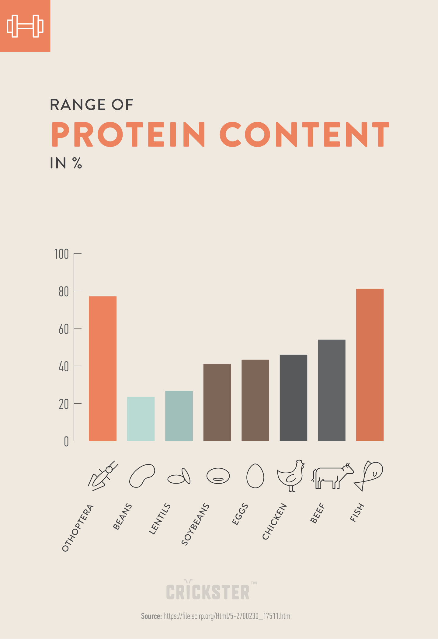 Infographic: Insects contain more protein then beef, soybeans, lentils, eggs and chicken. Only fish has more