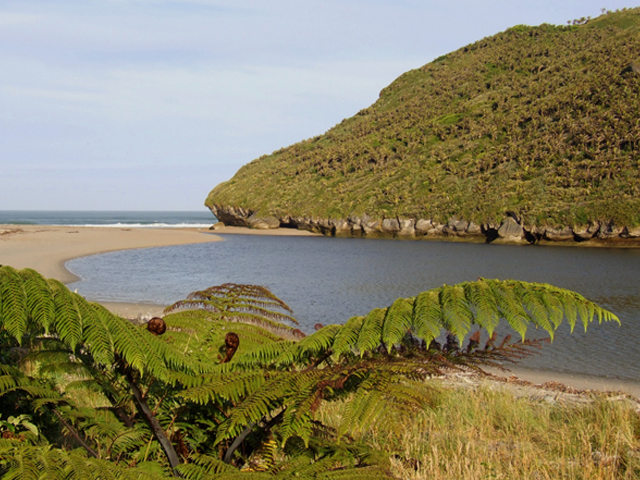Karamea Heaphy Track in Kahurangi National Park of New Zealand