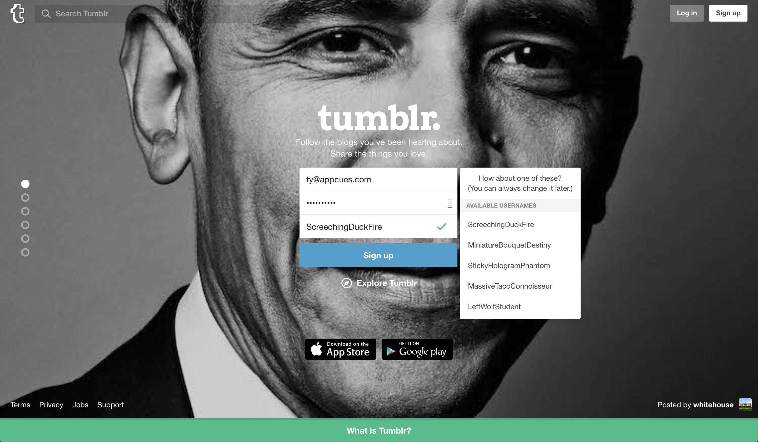 Tumblr user onboarding step 1