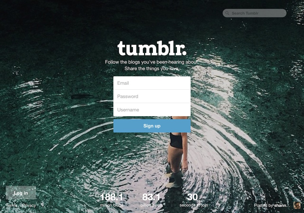 Tumblr homepage