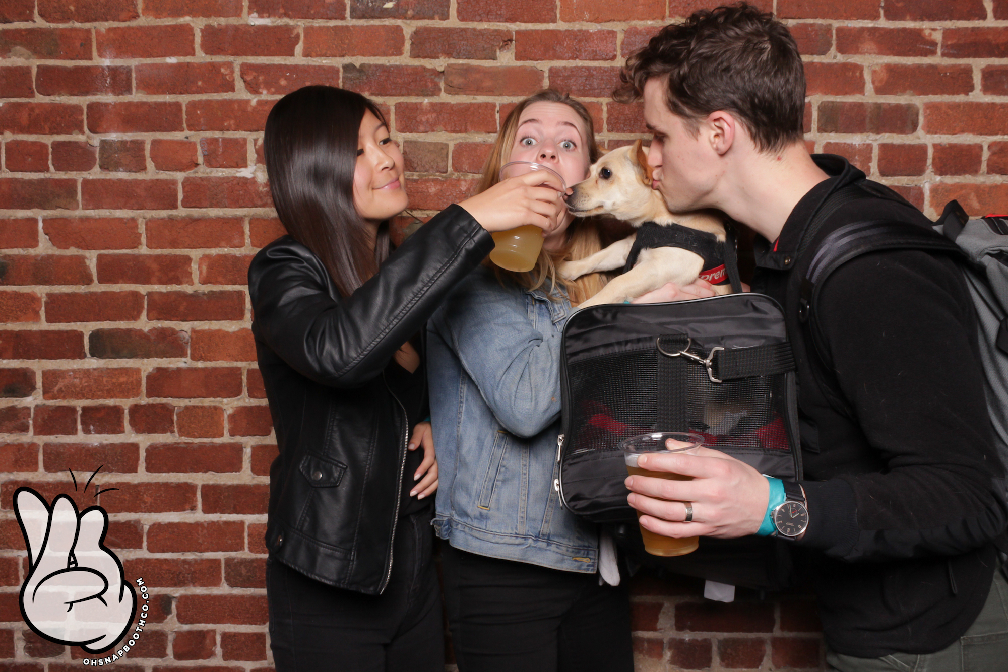 Dog at Drunk User Testing