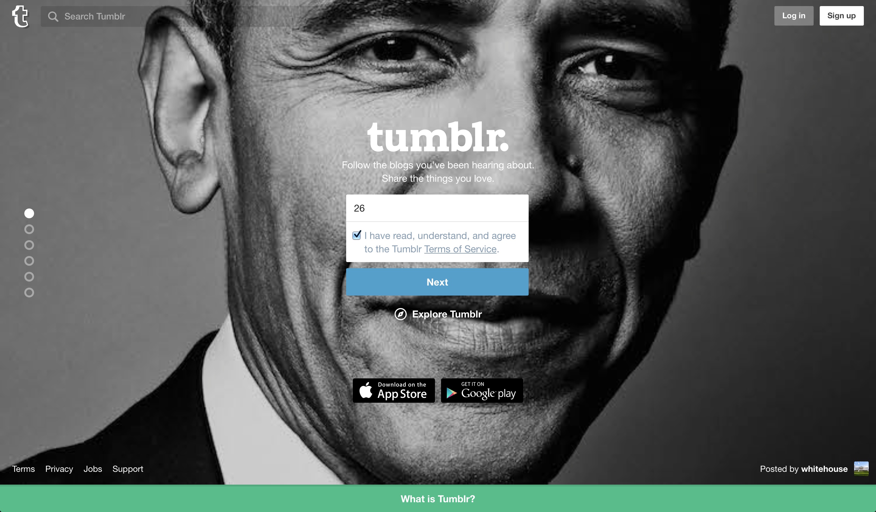 Tumblr user onboarding step 2