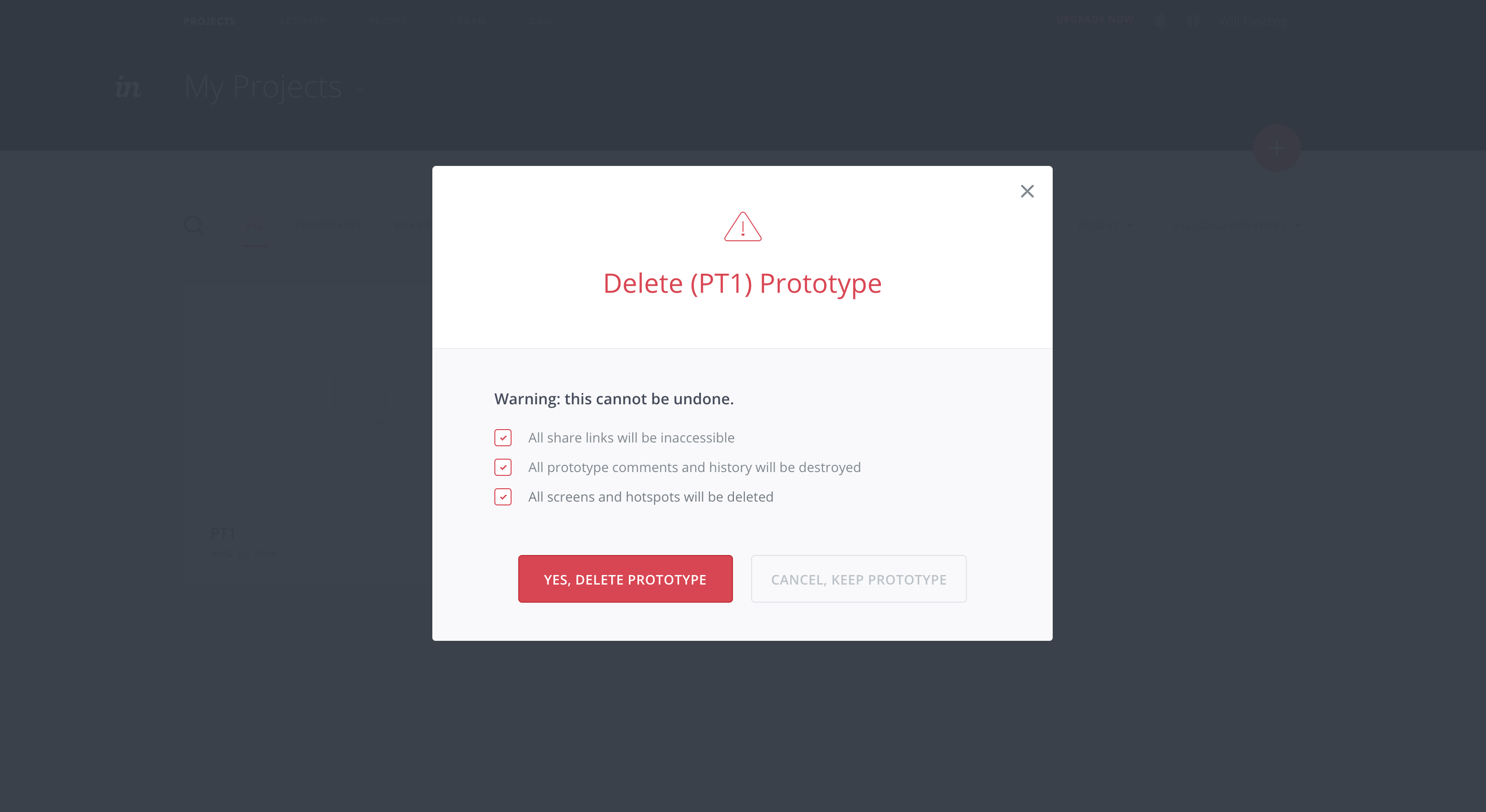 This is a screenshot of a modal window that requires user action and confirmation before deleting data. It has the header "delete (PT1) prototype" and requires user input to close the modal.