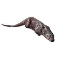 Otter Display