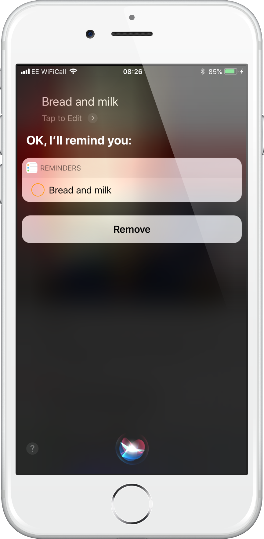 Bread and Milk