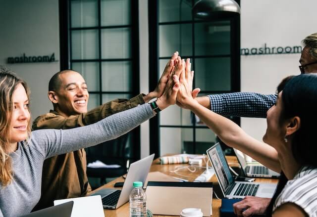 Research and discovery is the initial stage of any SEO campaign. Learn how Funky Howler can help to get your search campaign off to the right start.