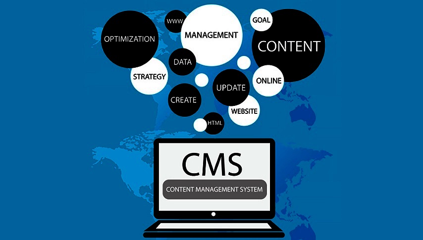CMS Services