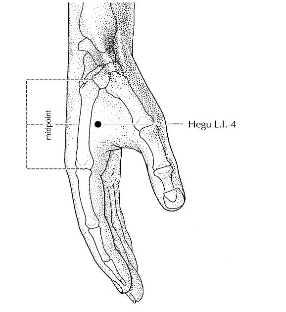 Acupuncture Acupressure Points for Headache Relief Large Intestine 4