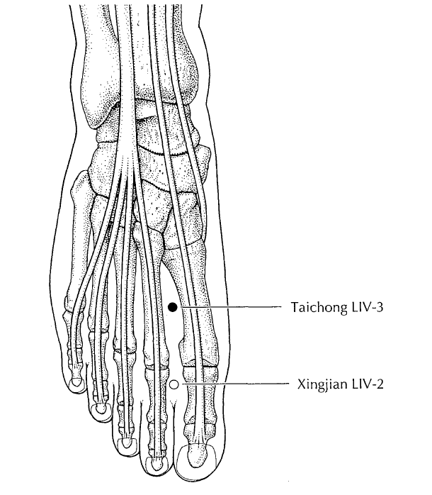 Acupuncture Acupressure Points for Headache Relief Liver 3