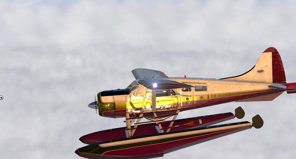 DHC2_Beaver_Seaplane - 2020-12-15 09.39.56.jpg