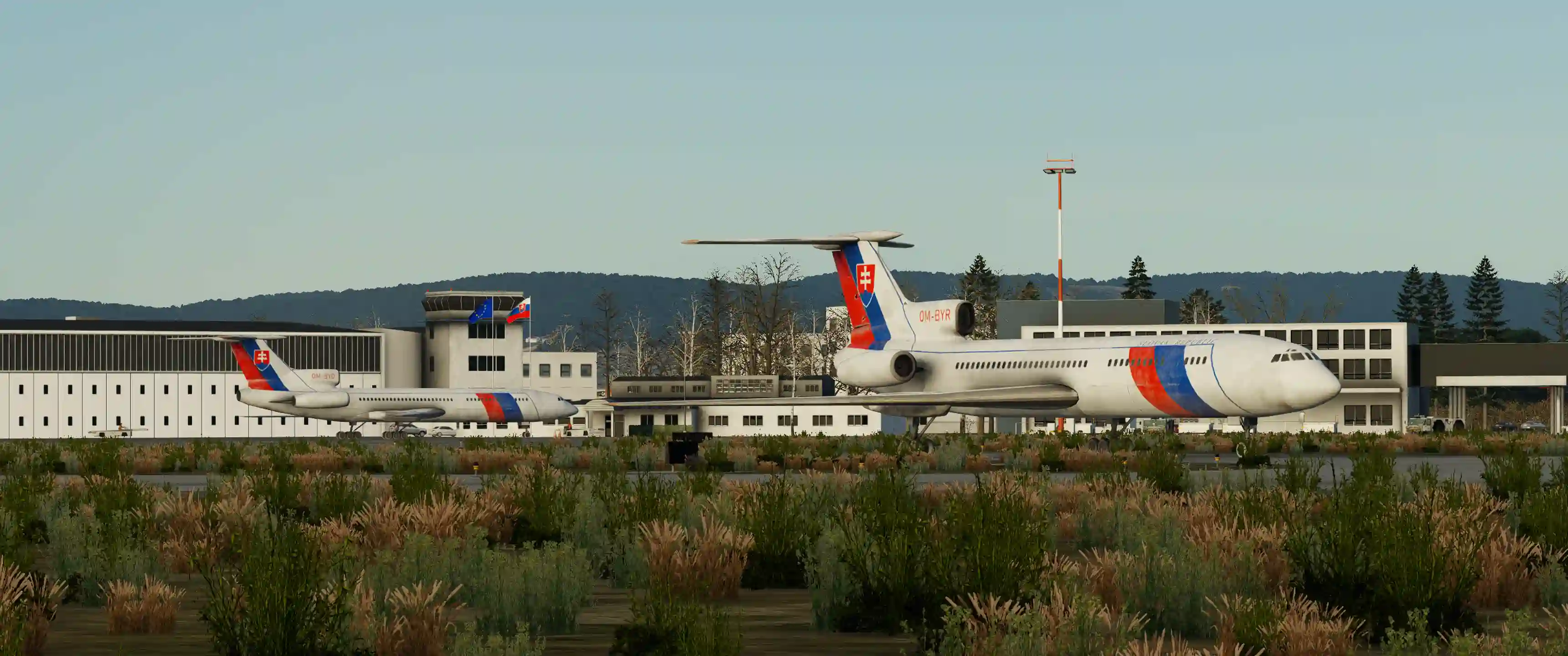 __wf_reserved_inherit