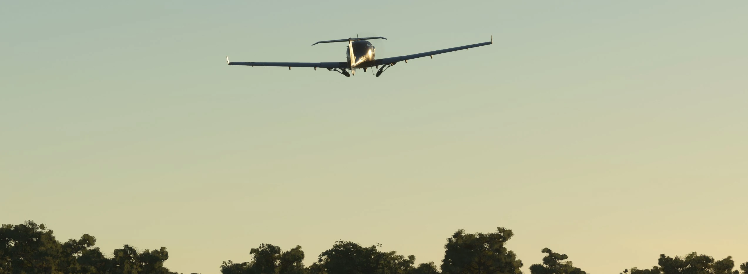 __wf_reserved_inherit