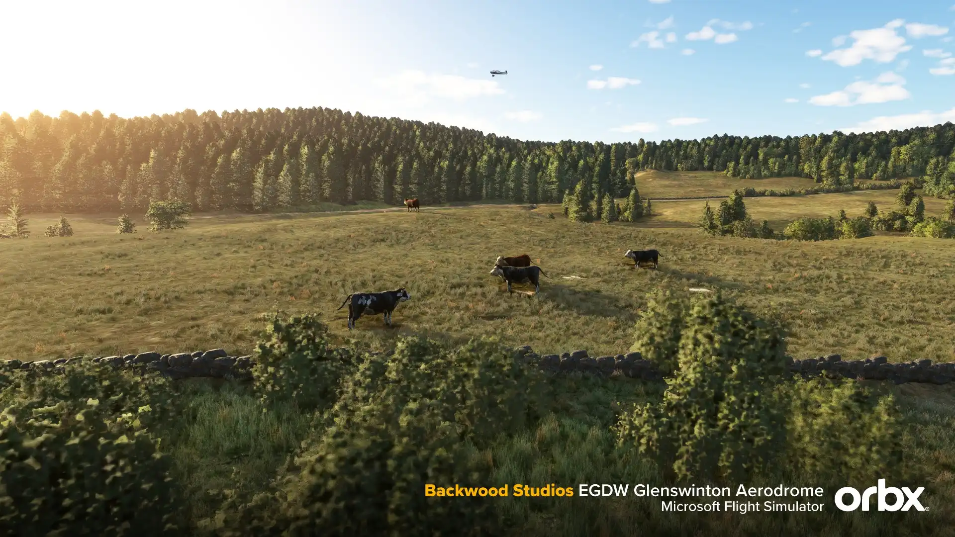 __wf_reserved_inherit