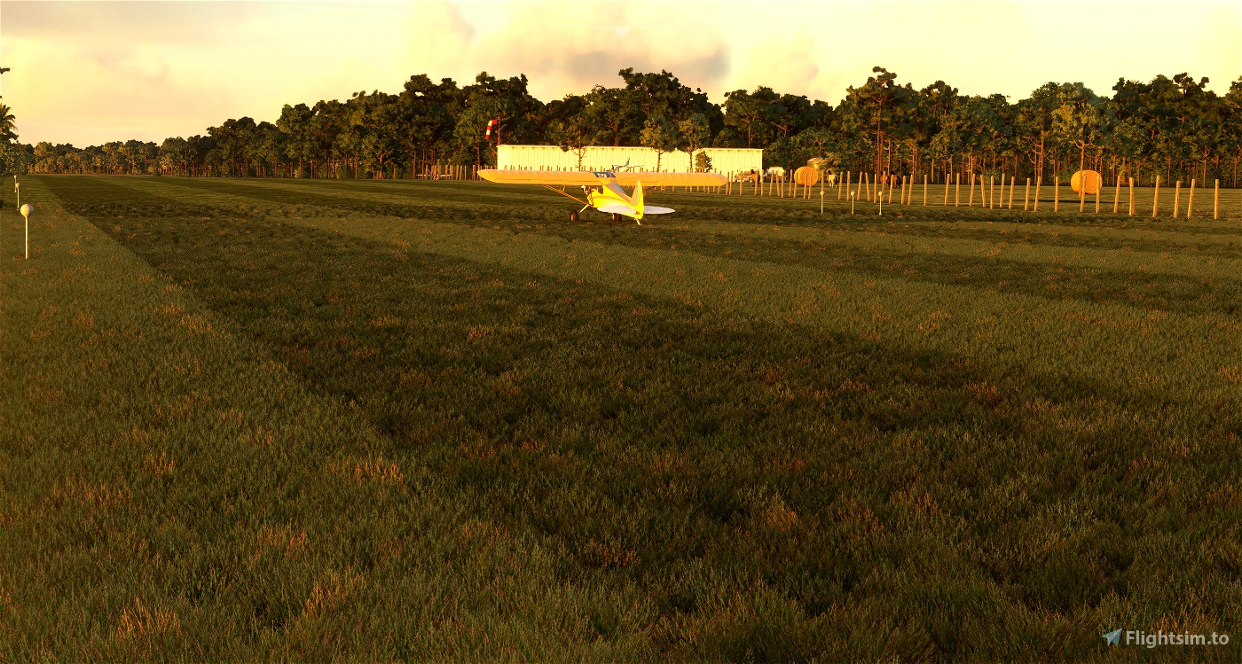 __wf_reserved_inherit