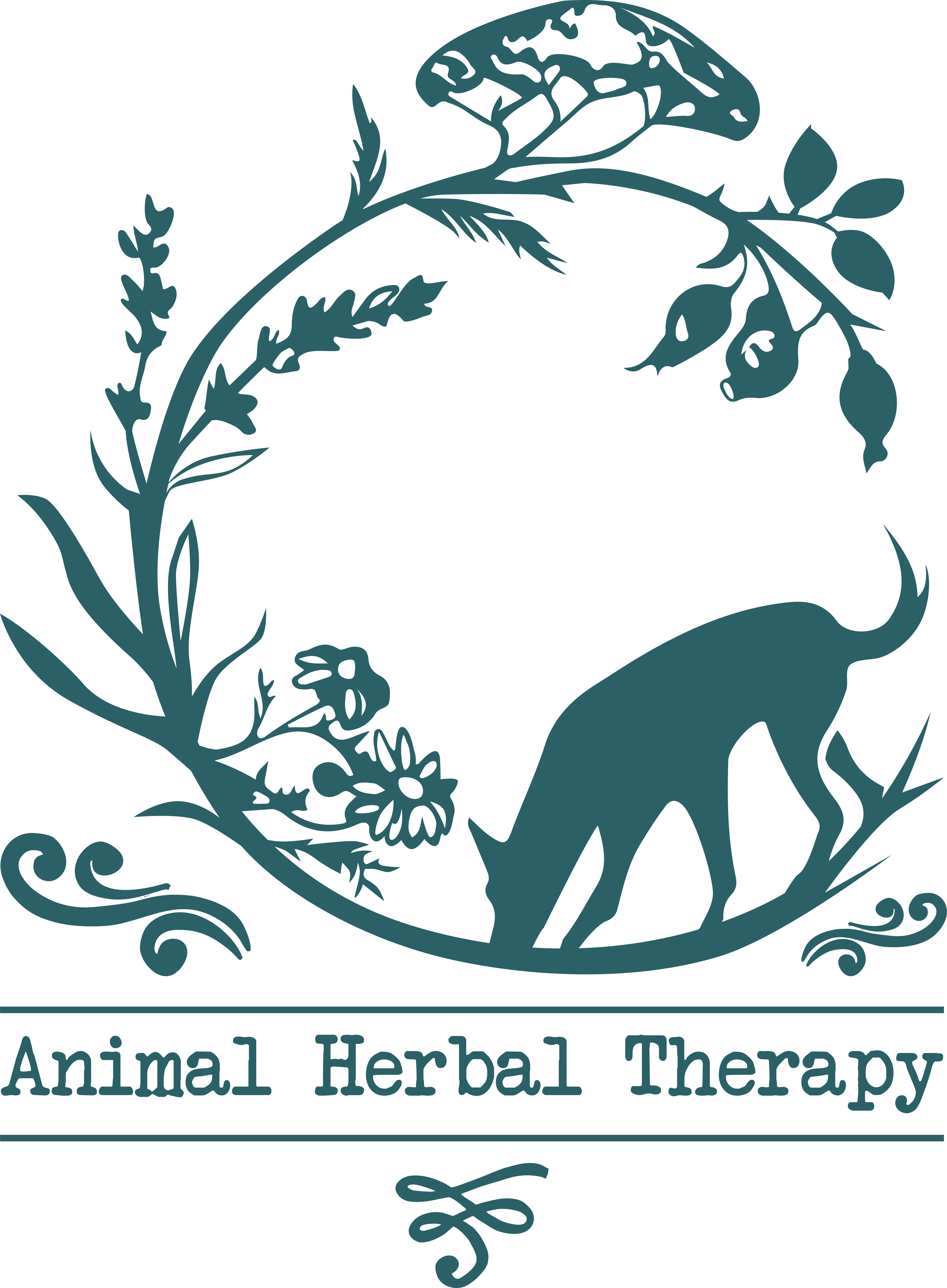 Animal Herbal Therapy
