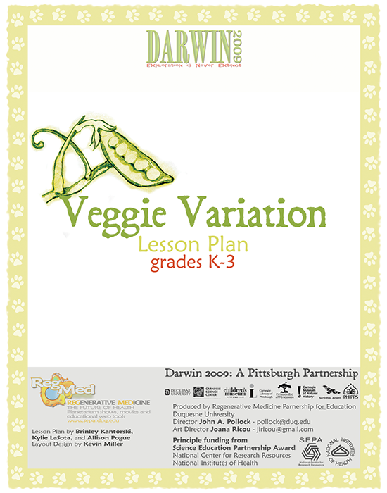 Veggie Variation Lesson Plan | The Partnership in Education