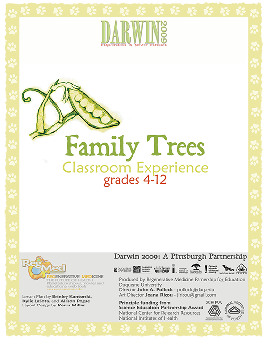 Family Trees Lesson Plan | The Partnership in Education