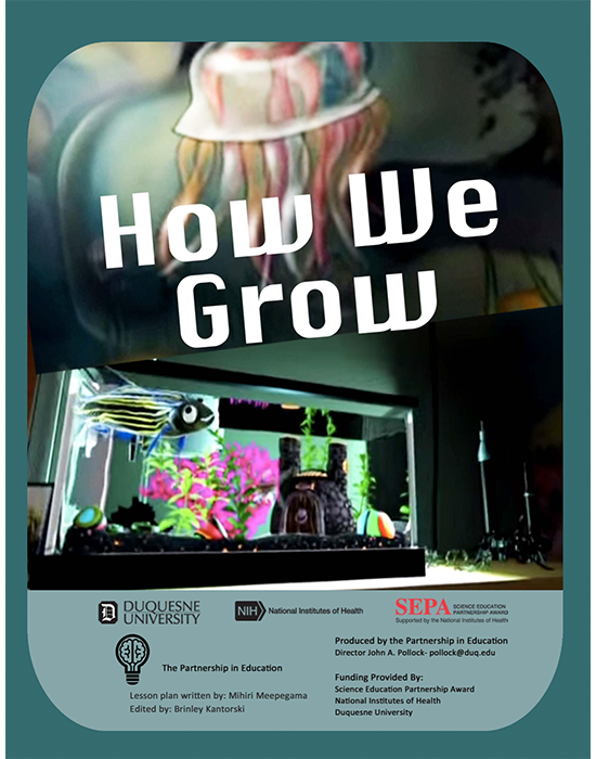 How We Grow Lesson Plan | The Partnership in Education