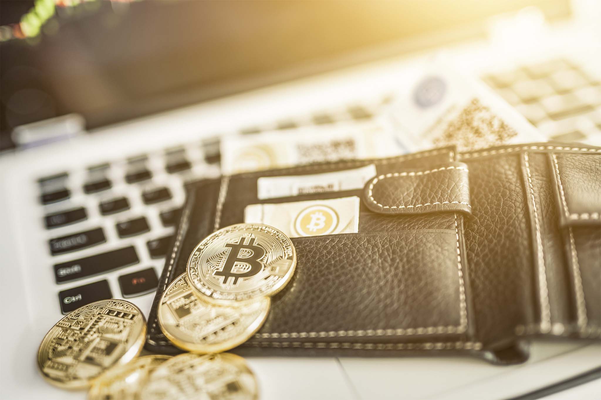 Pure Diamond Coin Info Wallet