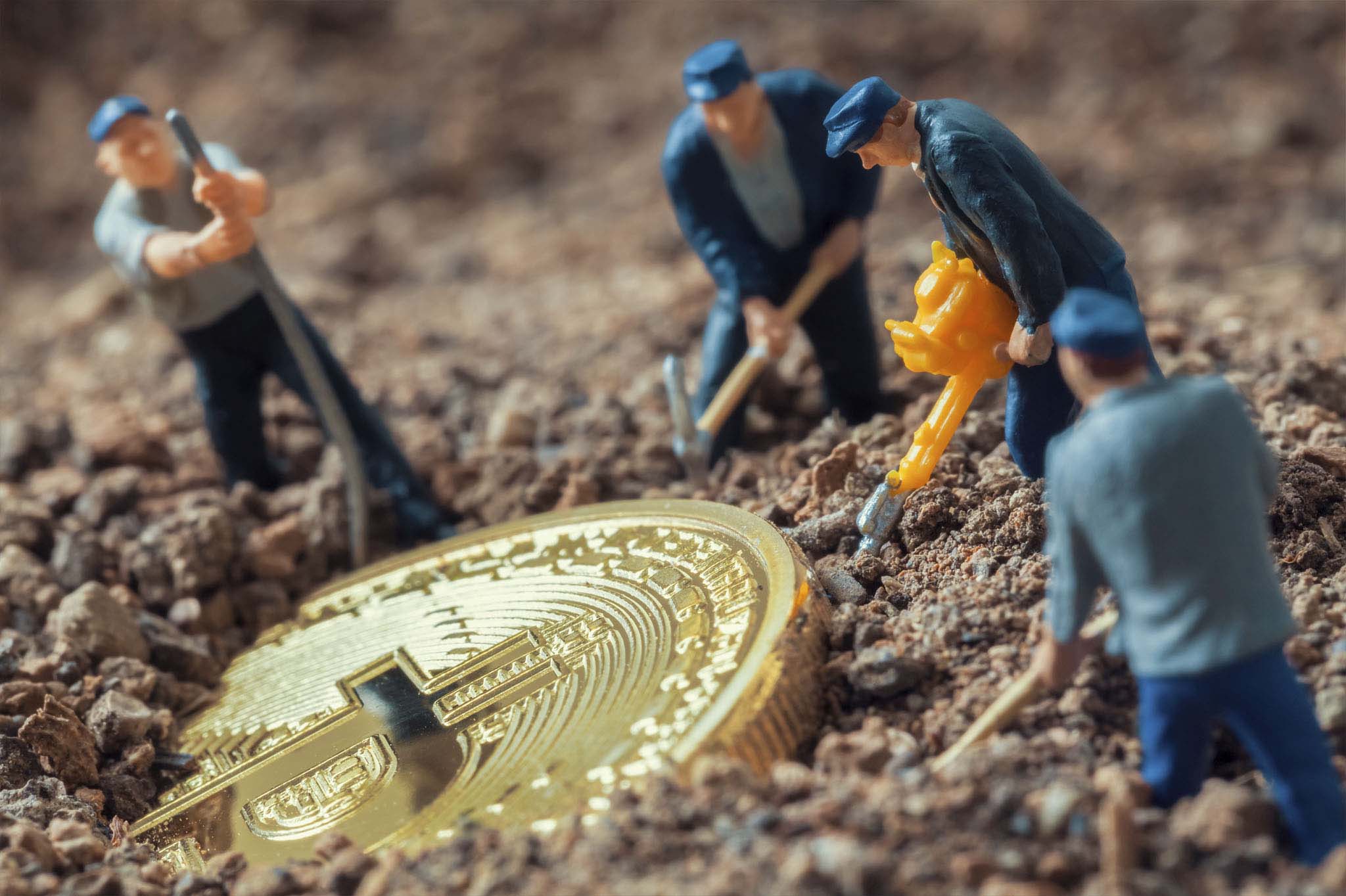 Pure Diamond Coin Info Mining